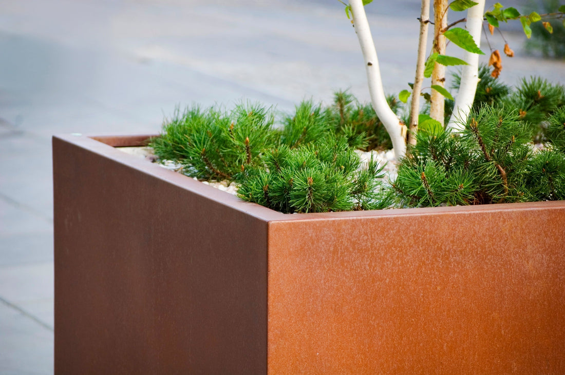 Guide: 5 inspirerende måder at bruge cortenstål i haven (mere end bare højbede)