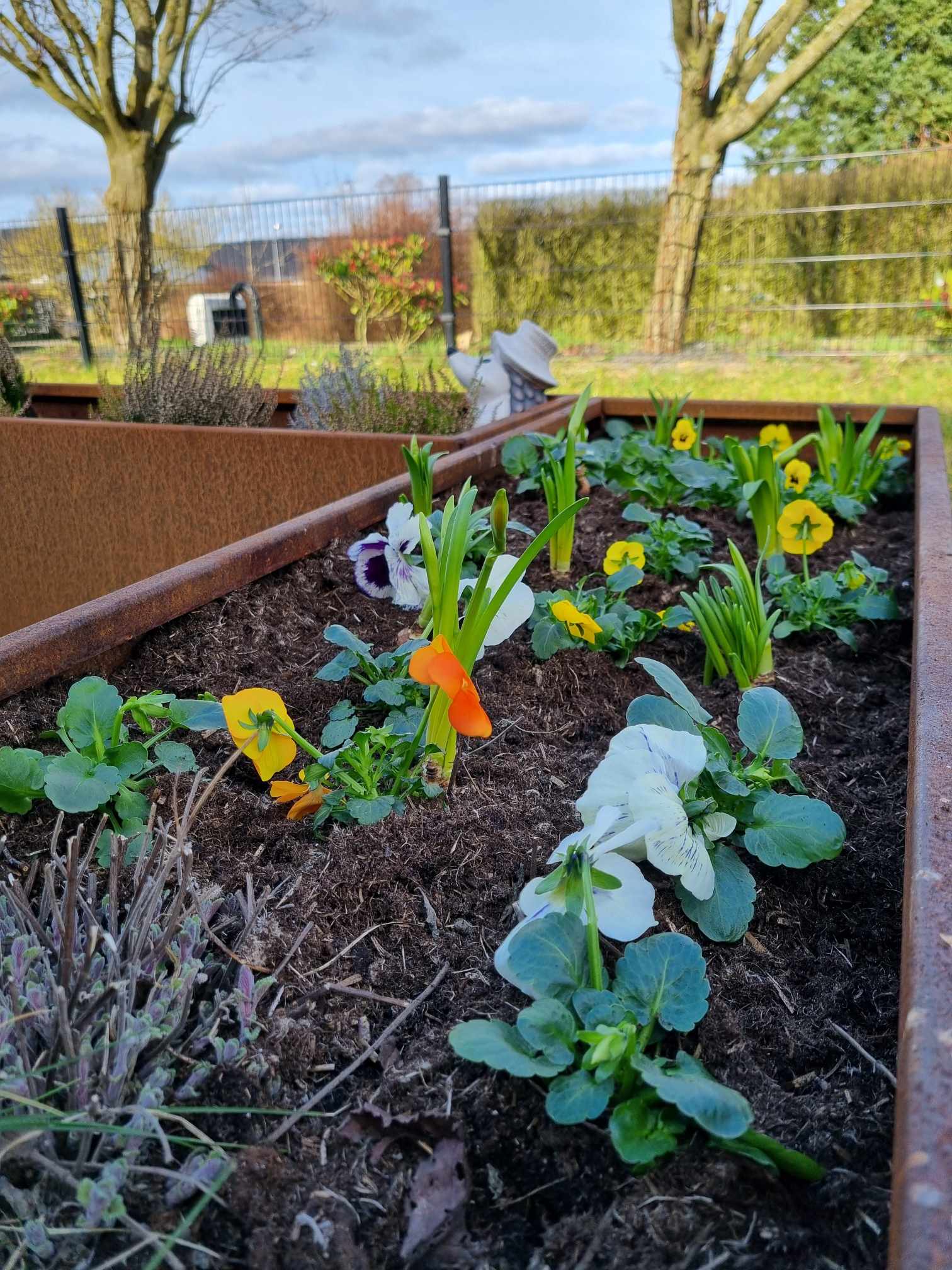 Blomsterkasser i cortenstål. Fuldsvejset og ombukket kanter. Laves på special mål. Holdbarhed op til 30 år. 