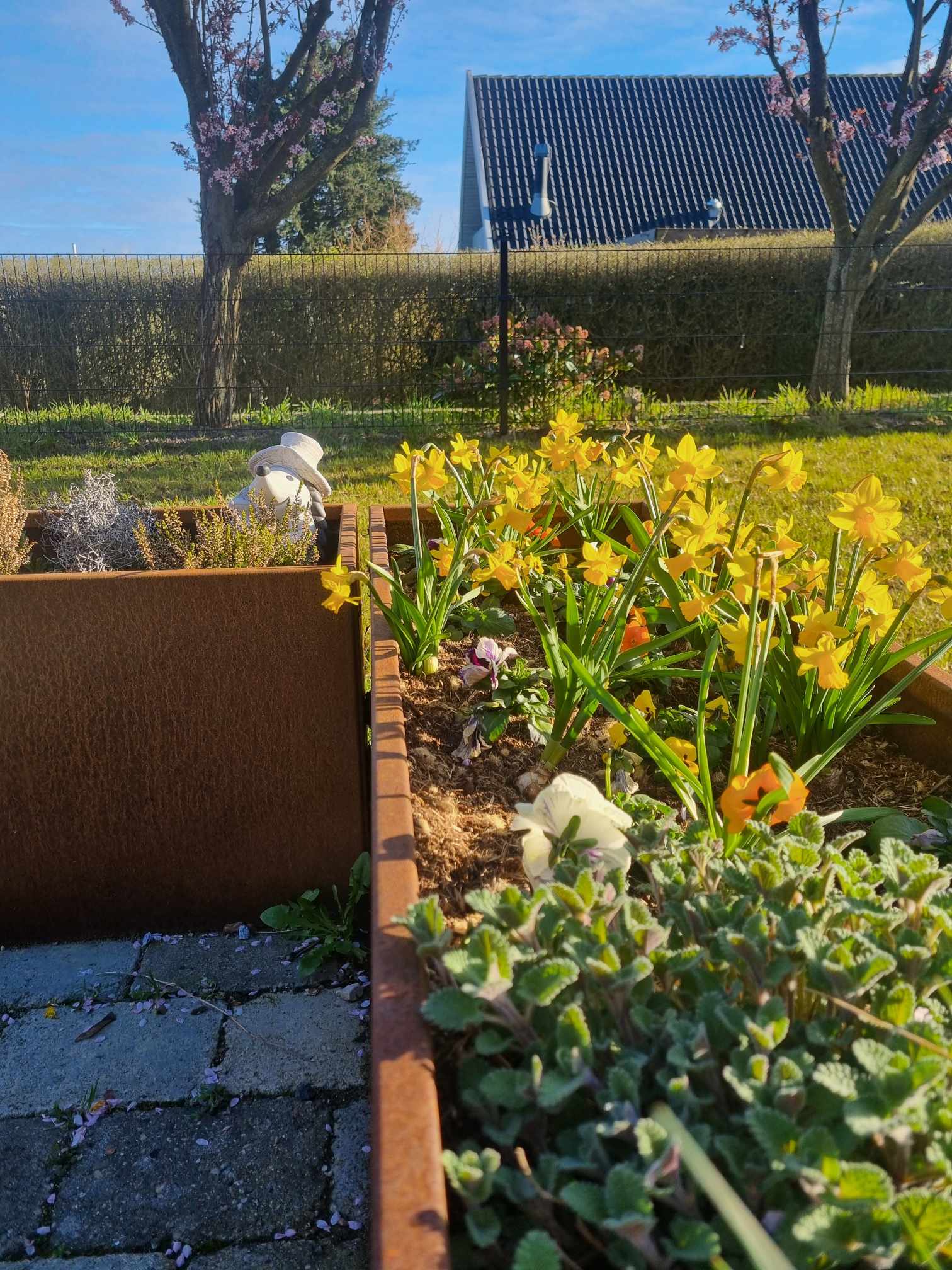 Blomsterkasser i cortenstål. Fuldsvejset og ombukket kanter. Laves på special mål. Holdbarhed op til 30 år. 