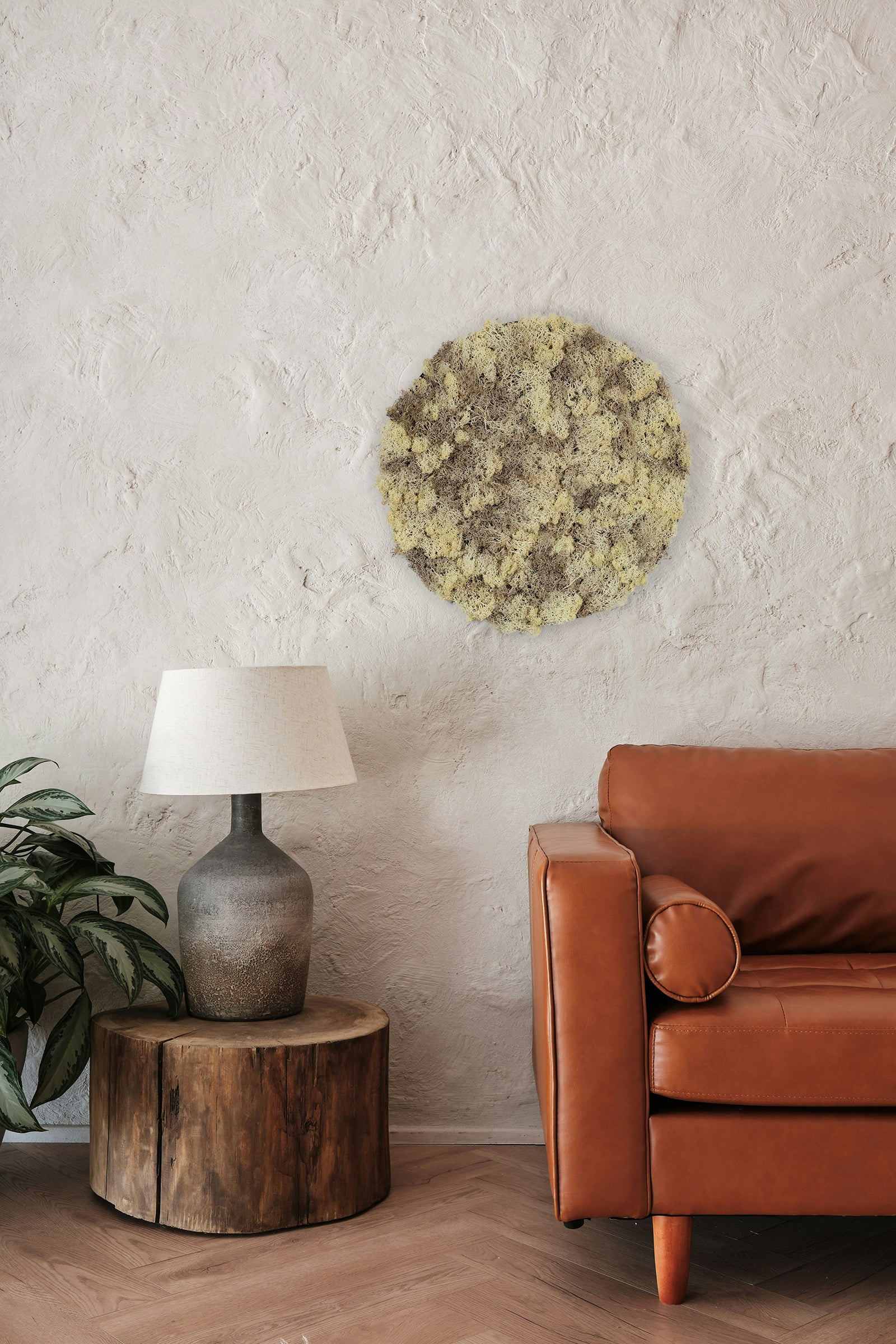 Rundt mosbillede med beige mos i flere nuancer og sort kant. Moskunst skaber en behagelig akustik og en afslappet atmosfære. 