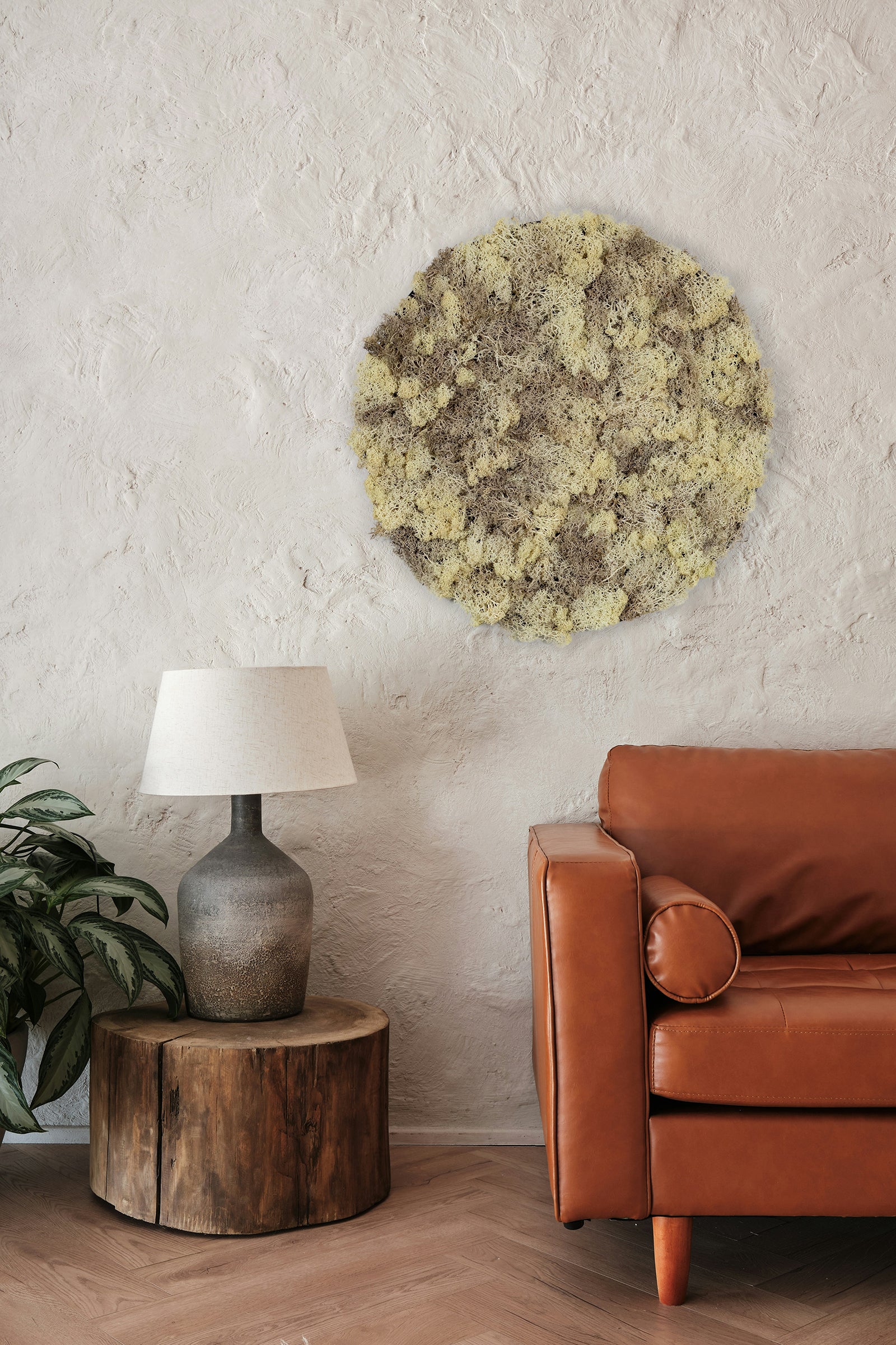 Rundt mosbillede med beige mos i flere nuancer og sort kant. Moskunst skaber en behagelig akustik og en afslappet atmosfære. 