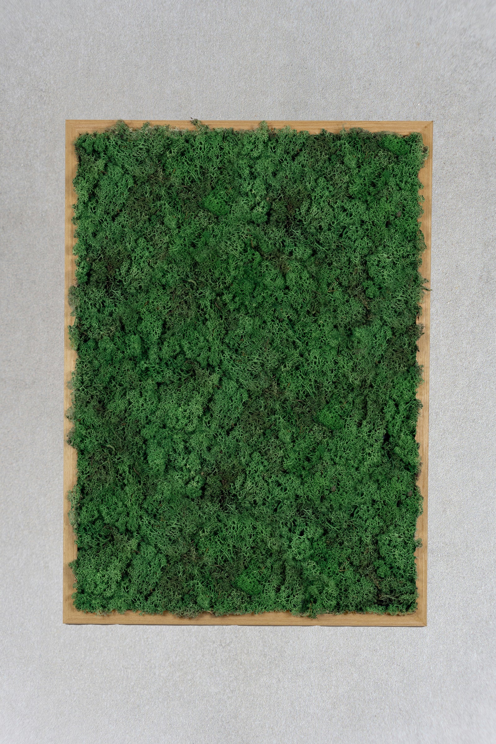 Akustik moskunst - Vælg mellem 4 størrelser og 3 farver