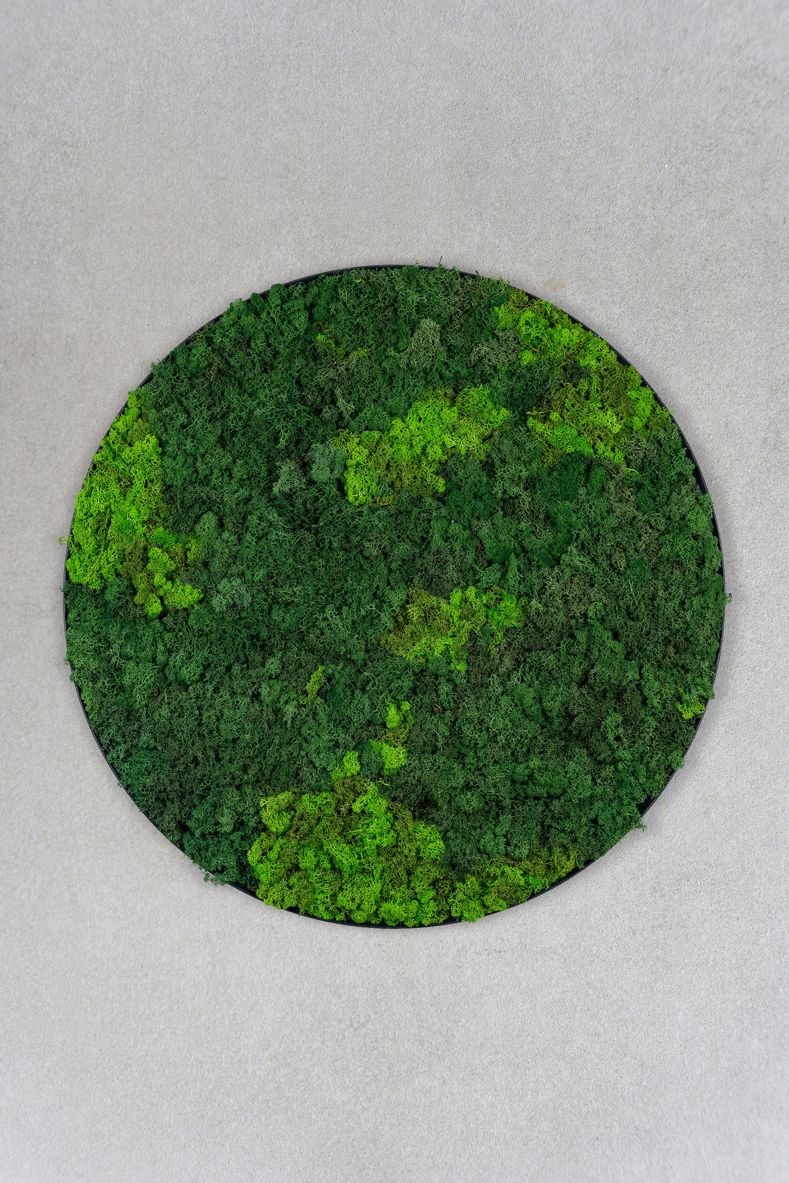 Rundt mosbillede med grønt mos i flere nuancer og sort kant. Moskunst skaber en behagelig akustik og en afslappet atmosfære. 