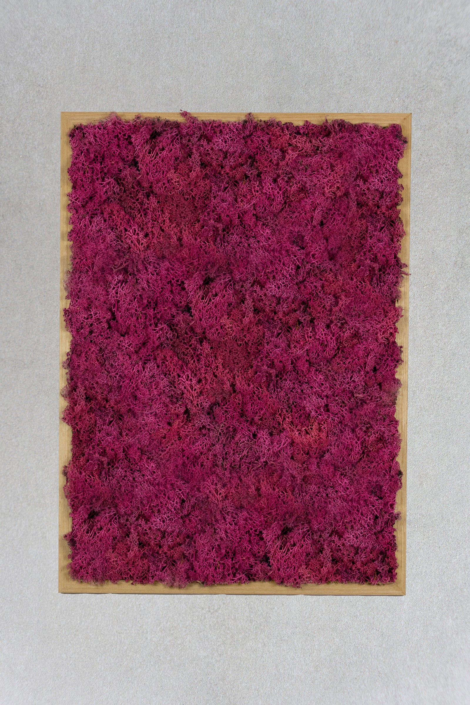 Mosbillede med pink mos og ramme i naturtræ. Moskunst skaber en behagelig akustik og en afslappet atmosfære. 