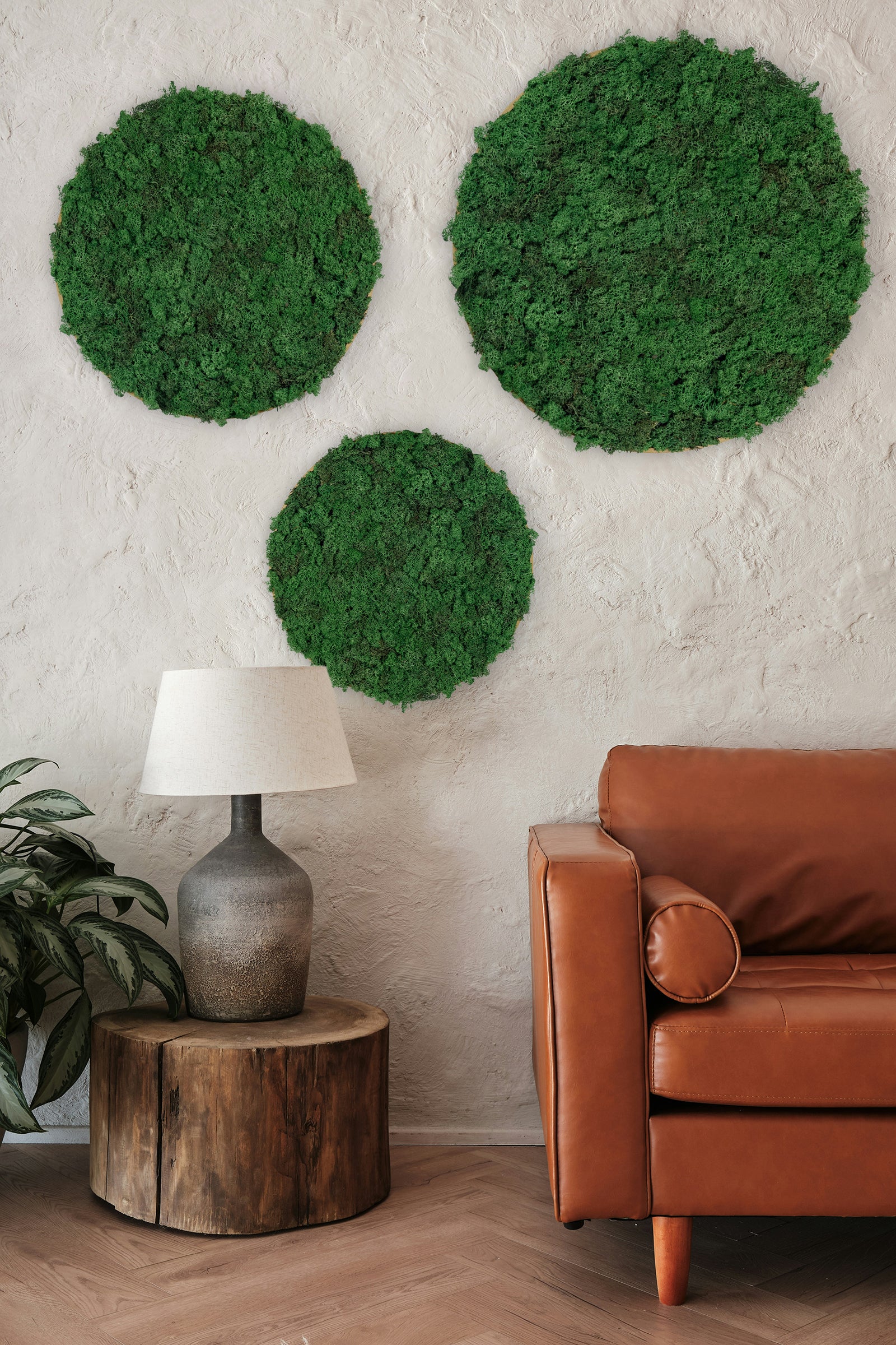 Rundt mosbillede med grønt mos i flere nuancer og sort kant. Perfekt i stue, kontorlokale, salon eller erhverv.