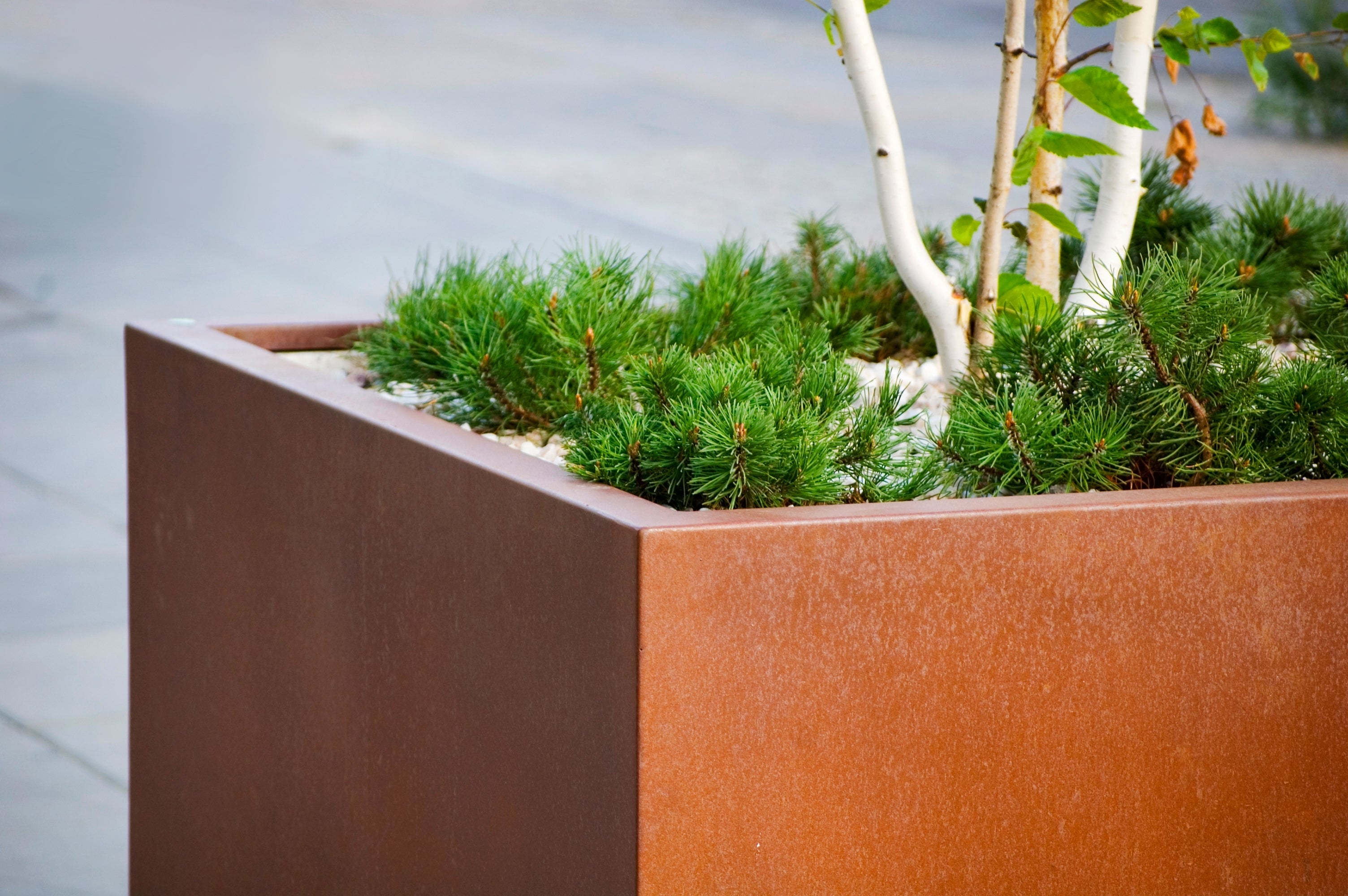 Højbede cortenstål bukket kant