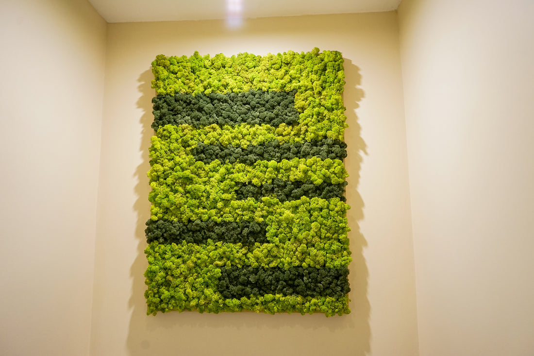 Moskunst_rektangulært